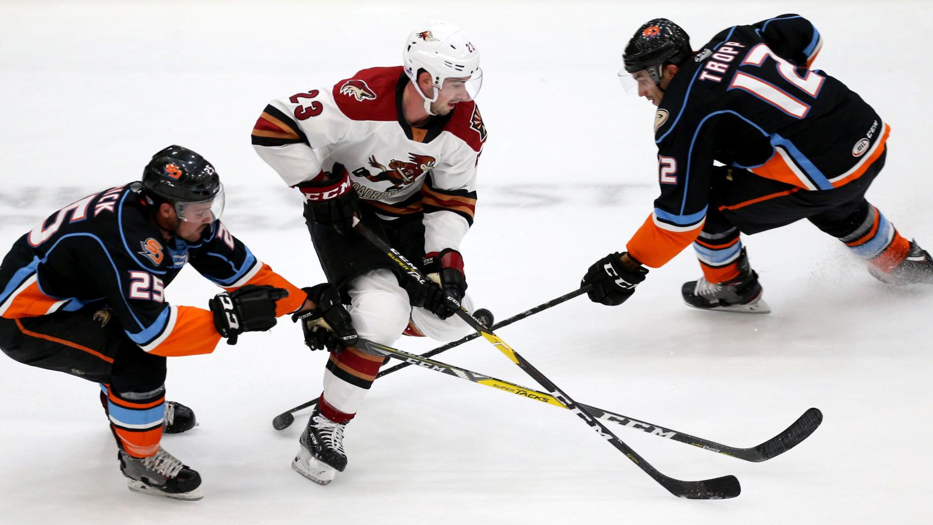 Roadrunners eager to resume series with Gulls — even though AHL says they're not rivals